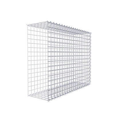 Grown-on gabion type 2 100 cm x 80 cm x 30 cm (L x H x D), mesh size 5 cm x 5 cm, spiral