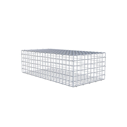 Gabion 100 cm x 30 cm x 50 cm (L x H x D), mesh size 5 cm x 5 cm, C-ring