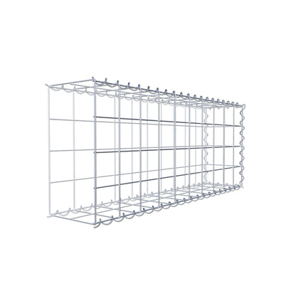 Grown-on gabion type 2 100 cm x 40 cm x 20 cm (L x H x D), mesh size 10 cm x 10 cm, spiral
