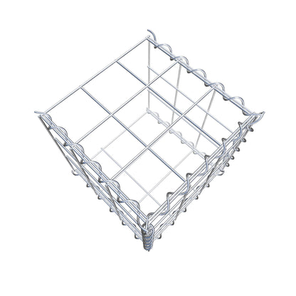 Grown-on gabion type 2 30 cm x 30 cm x 30 cm (L x H x D), mesh size 10 cm x 10 cm, spiral