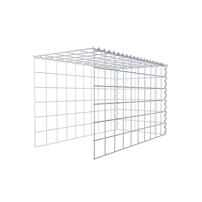 Opvokset gabion type 4 100 cm x 60 cm x 50 cm (L x H x D), maskestørrelse 10 cm x 10 cm, spiral