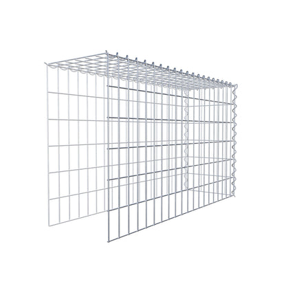 Opvokset gabion type 4 100 cm x 60 cm x 30 cm (L x H x D), maskestørrelse 5 cm x 10 cm, spiral