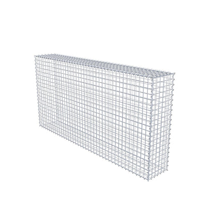 Gabbione 200 cm x 100 cm x 30 cm (L x H x P), maglia 5 cm x 5 cm, spirale