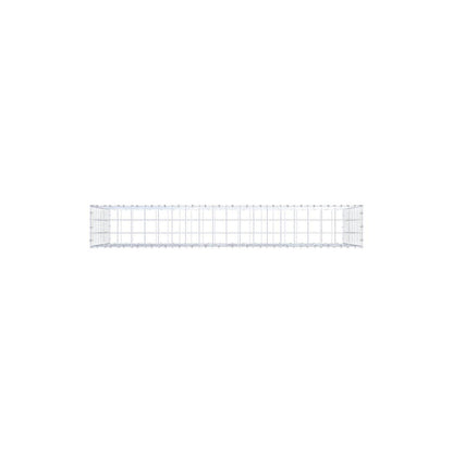 Gabbione 200 cm x 100 cm x 30 cm (L x H x P), maglia 10 x 10 cm, anello a spirale