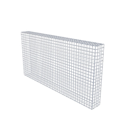 Gabion 200 cm x 100 cm x 20 cm (L x H x D), maskstorlek 5 cm x 5 cm, C-ring