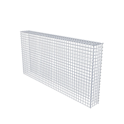 Opvokset gabion type 3 200 cm x 100 cm x 20 cm (L x H x D), maskestørrelse 5 cm x 5 cm, spiral