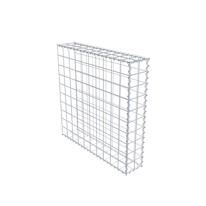 Opvokset gabion type 2 100 cm x 100 cm x 20 cm (L x H x D), maskestørrelse 10 cm x 10 cm, spiral