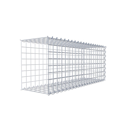 Påväxt gabion typ 2 100 cm x 40 cm x 30 cm (L x H x D), maskstorlek 5 cm x 5 cm, spiral