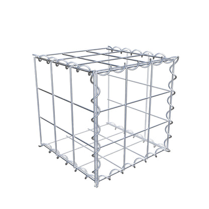 Grown-on gabion type 2 30 cm x 30 cm x 30 cm (L x H x D), mesh size 10 cm x 10 cm, spiral